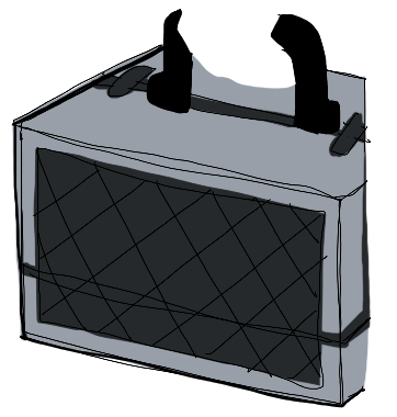 bsaecase